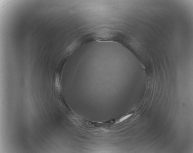 X0000067000143200604072158