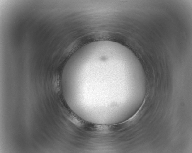 X0000067000144200604072158