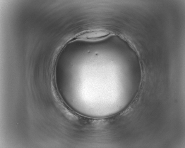 X0000067000145200604072158