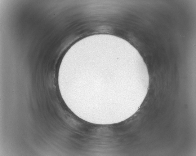 X0000067000146200604072158