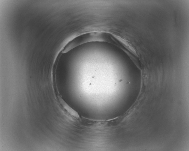 X0000067000148200604072158