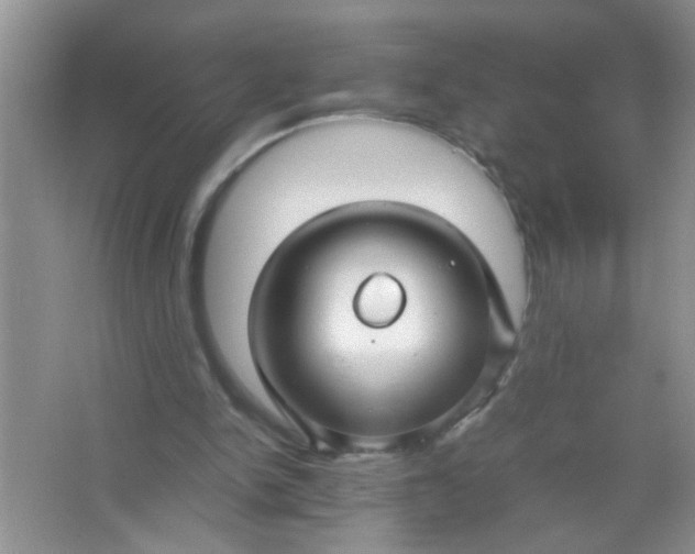 X0000067000150200604072158