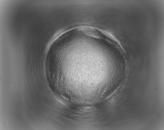 X0000067000151200604072158