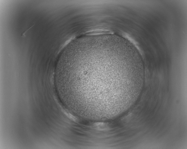 X0000067000153200604072158