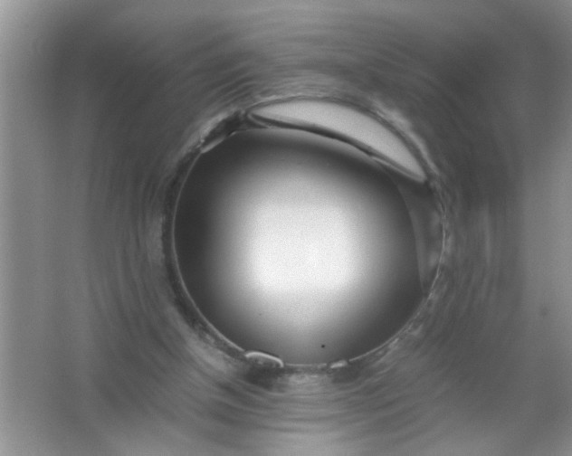 X0000067000154200604072158