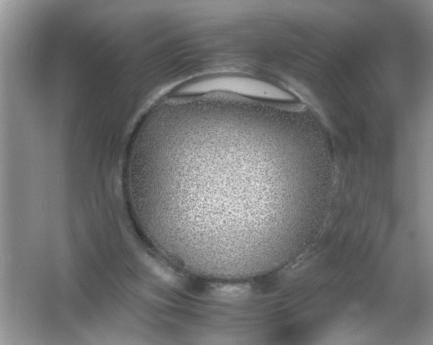 X0000067000155200604072158