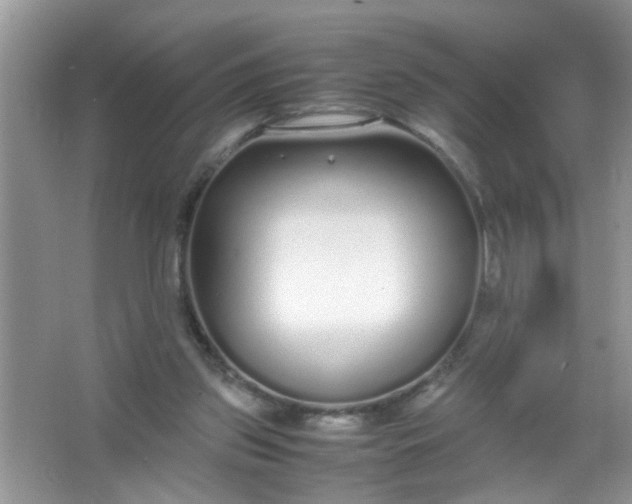 X0000067000157200604072158