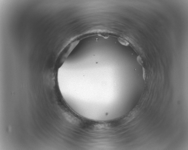 X0000067000160200604072158