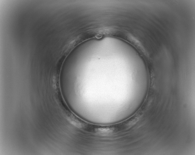 X0000067000161200604072158