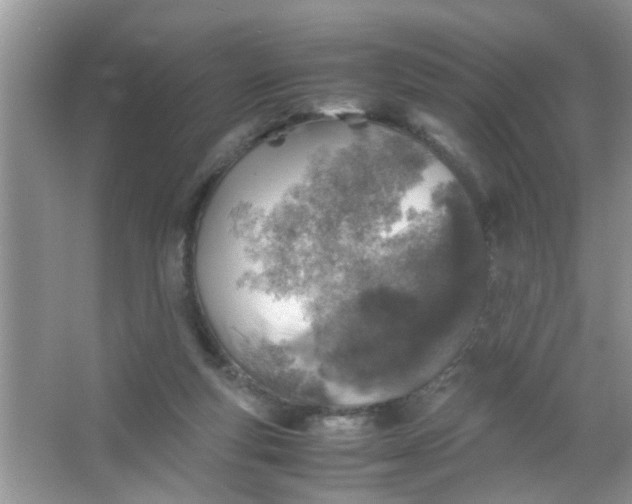 X0000067000163200604072158