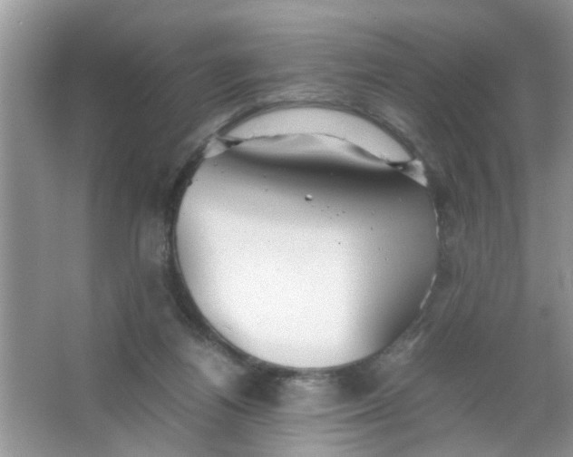 X0000067000164200604072158