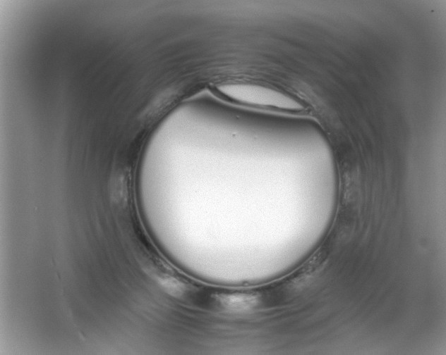 X0000067000165200604072158