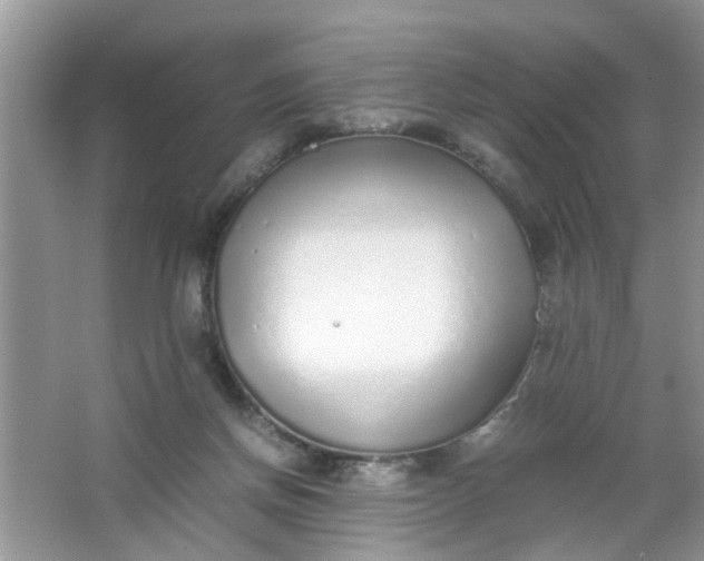 X0000067000166200604072158