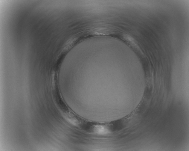 X0000067000167200604072158