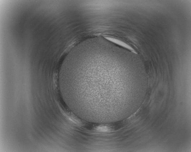 X0000067000171200604072158