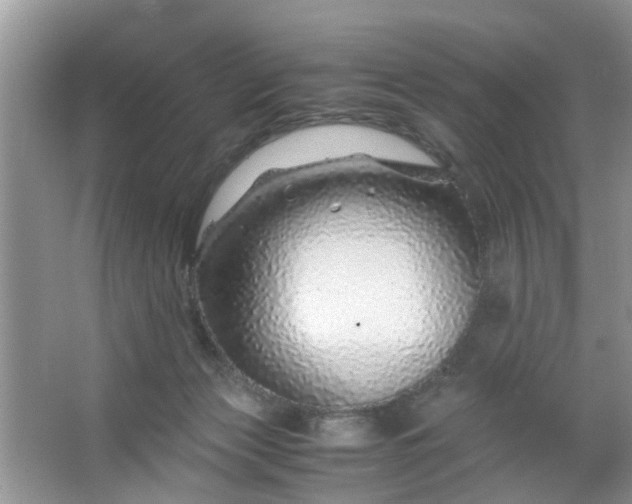 X0000067000173200604072158