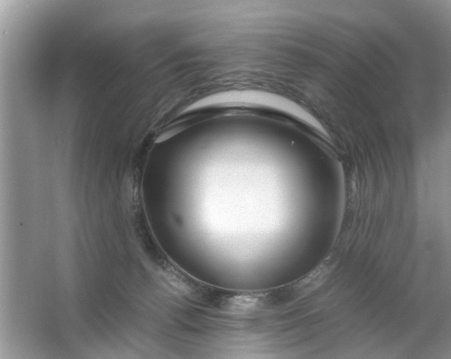 X0000067000176200604072158