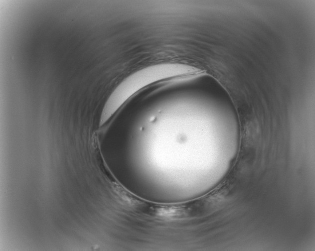 X0000067000177200604072158