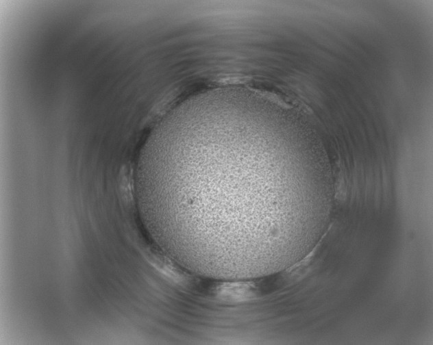 X0000067000179200604072158