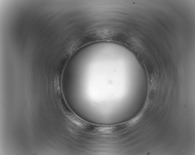 X0000067000182200604072158