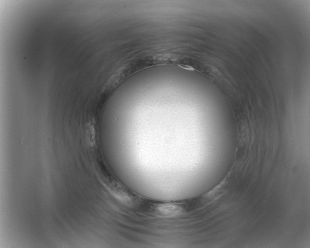 X0000067000183200604072158