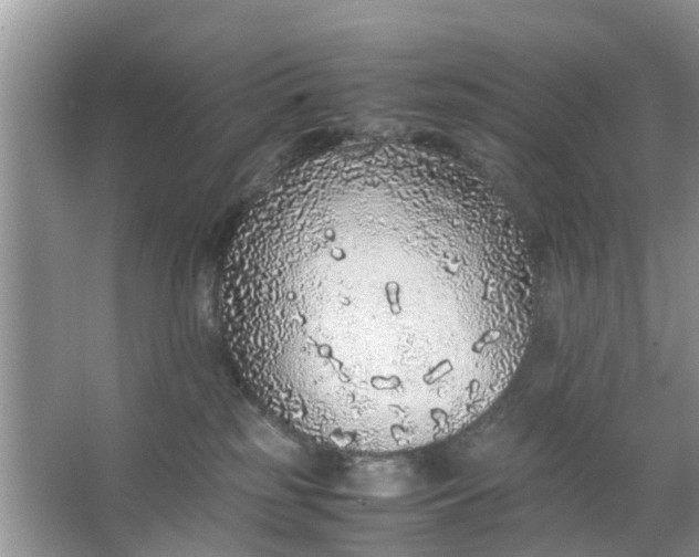 X0000067000185200604072158