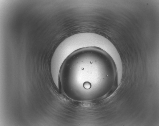 X0000067000187200604072158