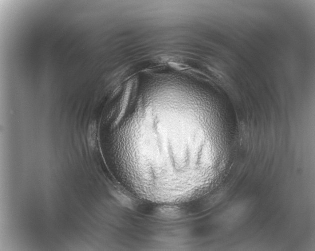 X0000067000189200604072158