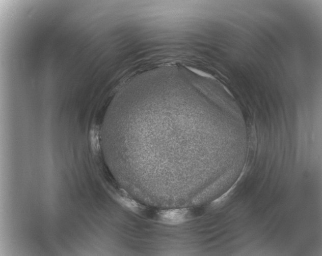 X0000067000191200604072158