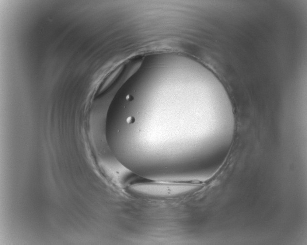 X0000067000193200604072158