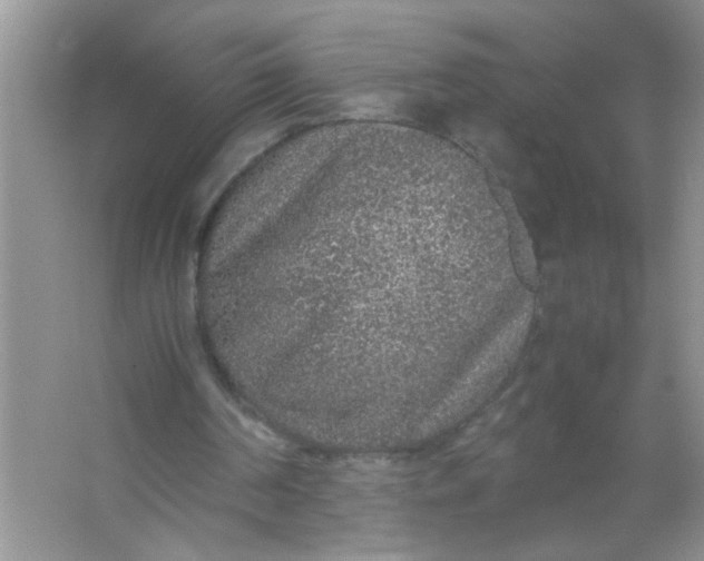 X0000067000194200604072158