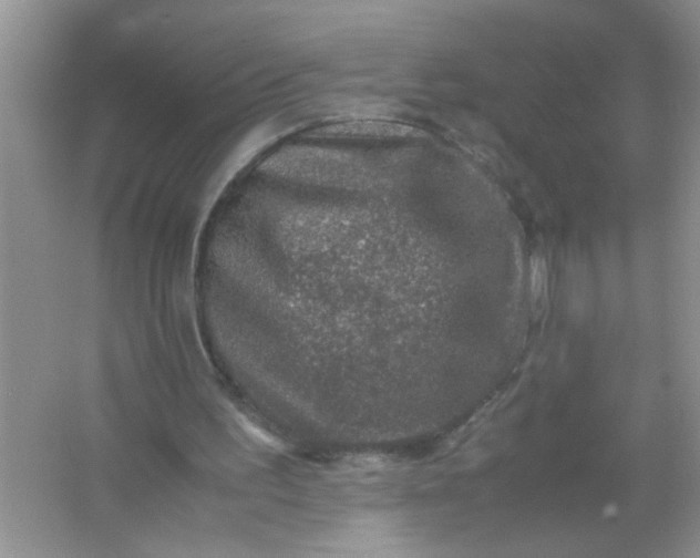 X0000067000195200604072158