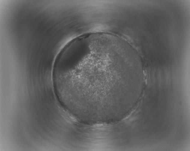 X0000067000196200604072158