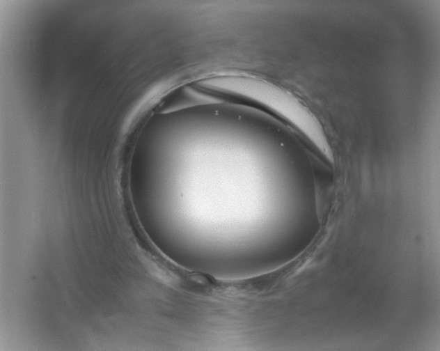 X0000067000197200604072158