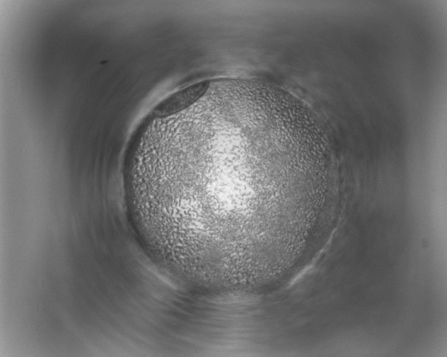 X0000067000198200604072158