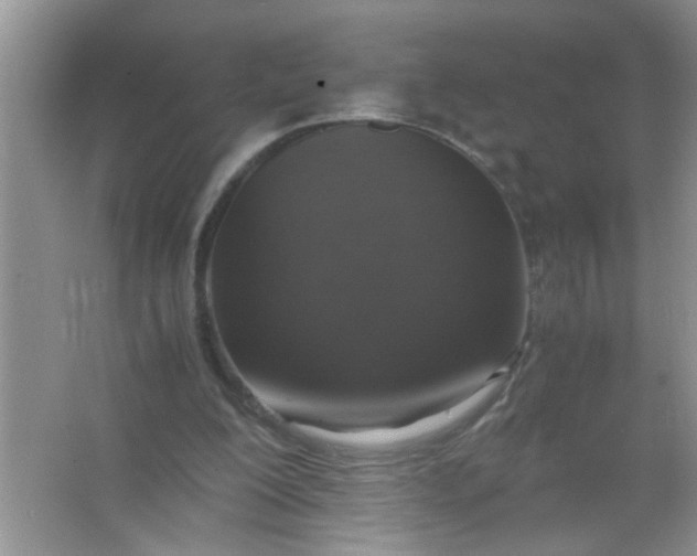 X0000067000200200604072158