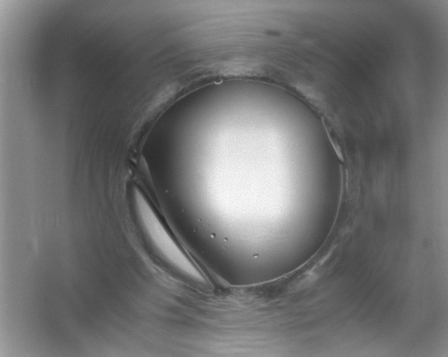 X0000067000201200604072158