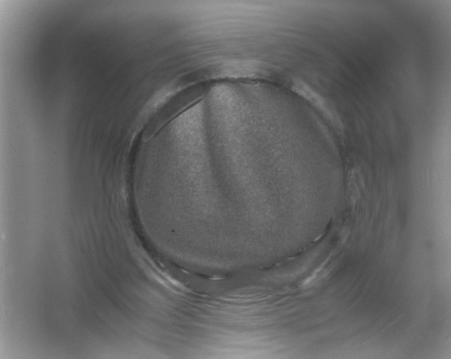 X0000067000203200604072157