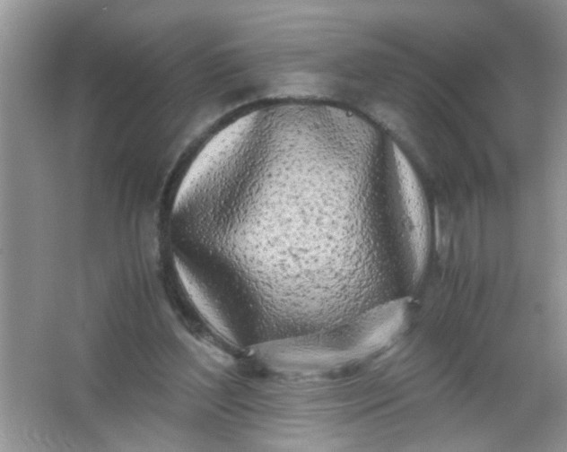 X0000067000204200604072157