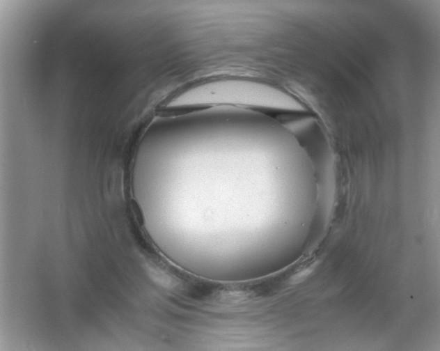 X0000067000205200604072157