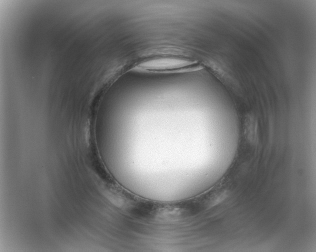 X0000067000206200604072157