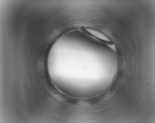 X0000067000207200604072157