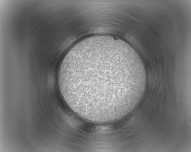 X0000067000208200604072157