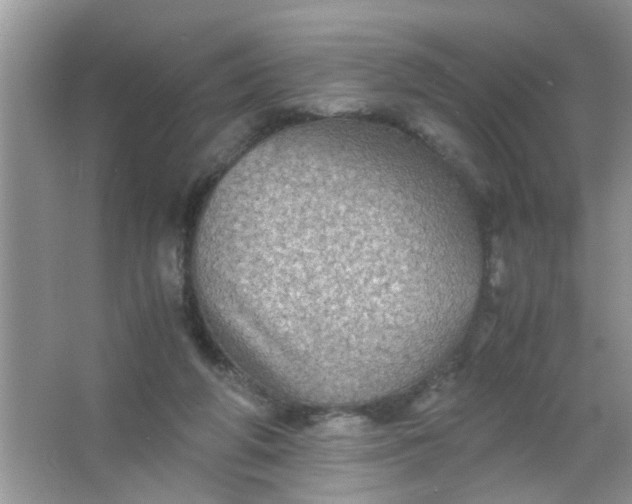 X0000067000210200604072157