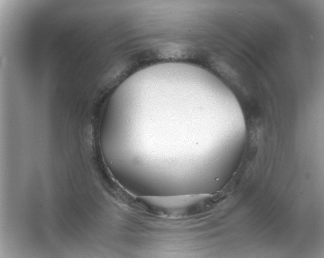 X0000067000211200604072157