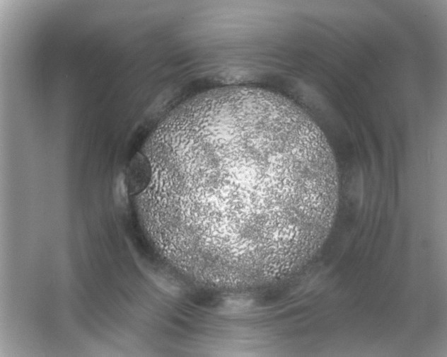 X0000067000214200604072157