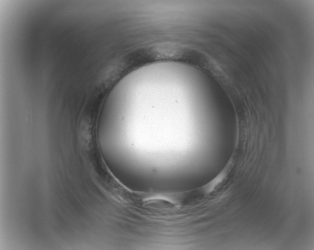 X0000067000215200604072157