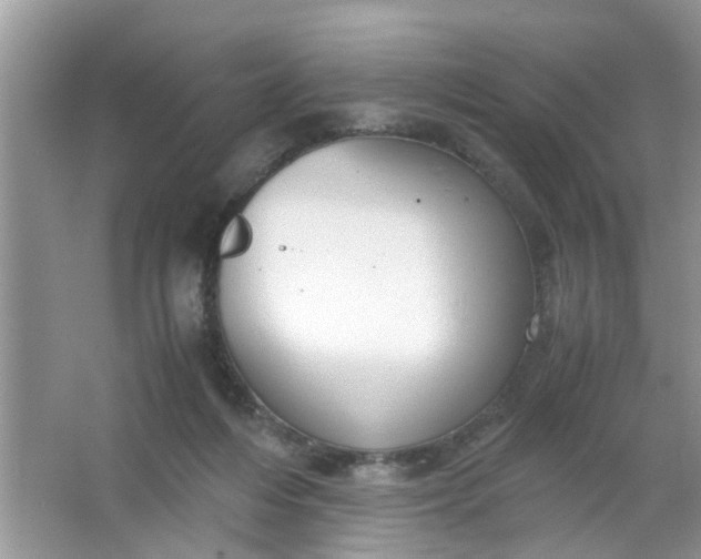 X0000067000216200604072157