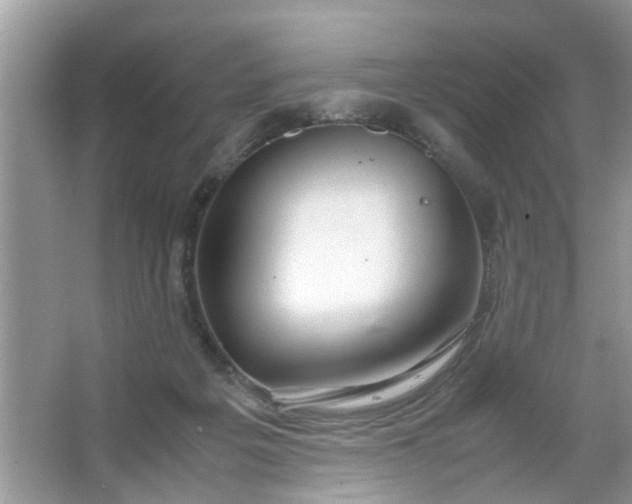 X0000067000217200604072157