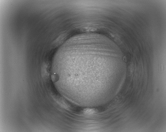 X0000067000218200604072157